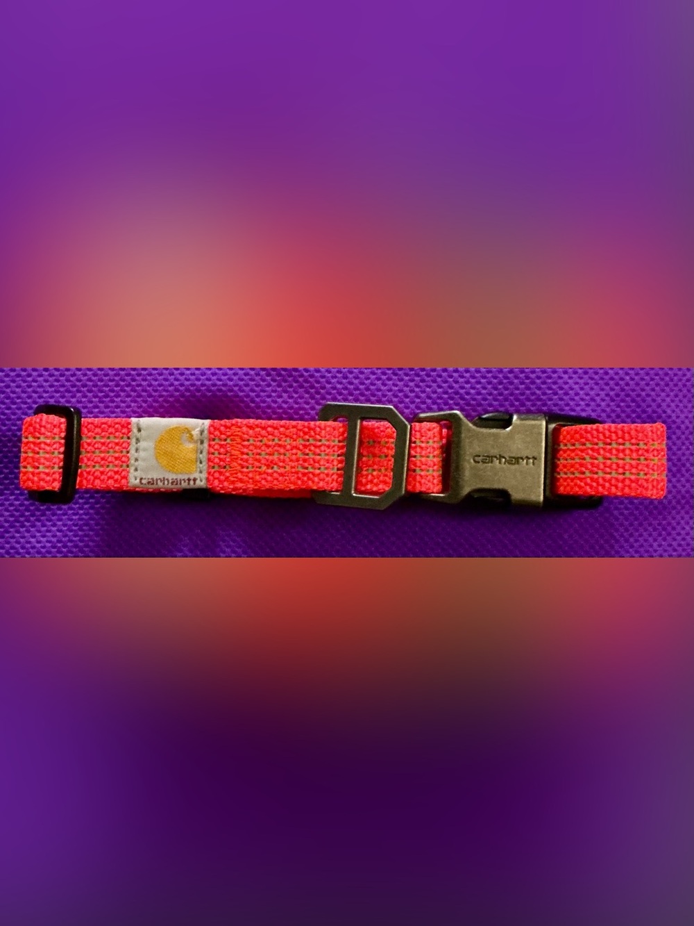 🐾 🐾 🧡LIKE NEW🧡BRIGHT HUNTER ORANGE DOG COLLAR 🐾🐾